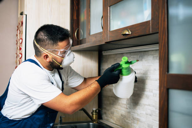 Best Pest Inspection Near Me  in Carlisle, PA